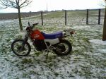 02-01-10_072041.jpg