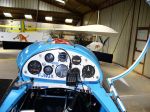 colibri 006.JPG
